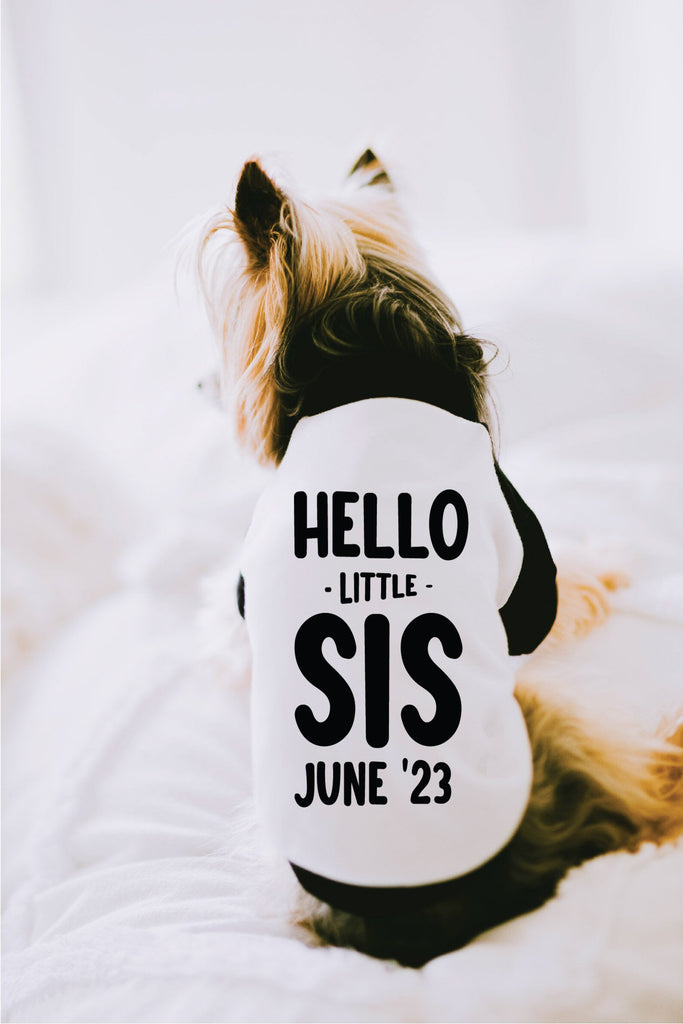 Hello Little Bro Little Sis Dog Raglan Shirt in Black and White