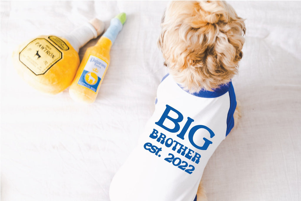 Big Sister Big Brother with Custom Est. Date Dog Raglan Shirt in Blue and White