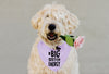 Big Brother Big Sister Energy Birth Announcement Dog Bandana Scarf in Lilac