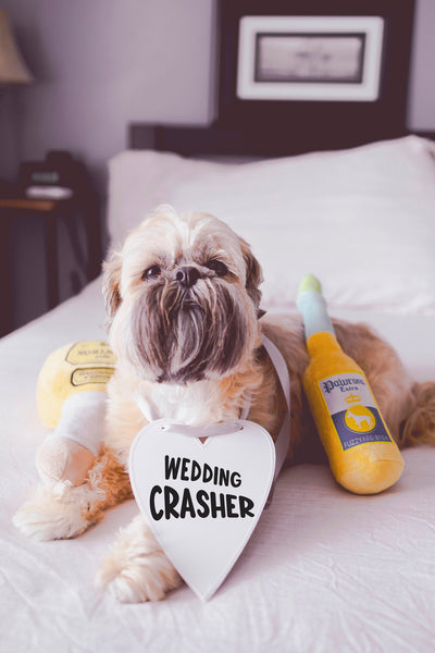 Wedding Crasher Marriage Proposal Heart Sign