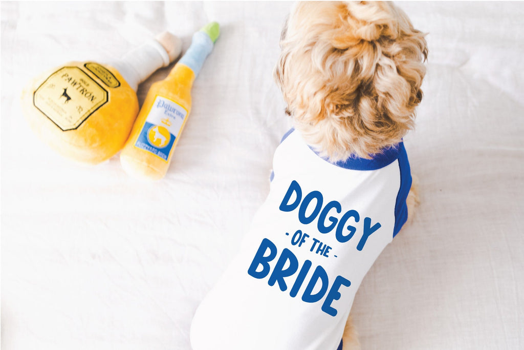 Dog of the Bride Engagement Announcement Dog Raglan Shirt in Blue and White