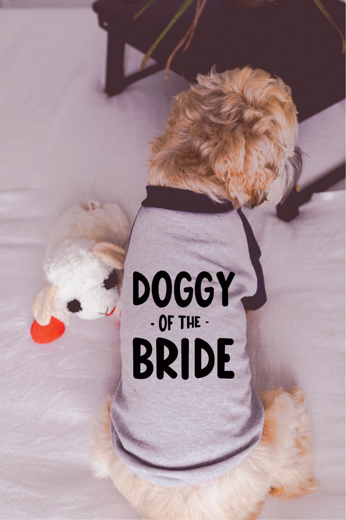 Dog of the Bride Engagement Announcement Dog Raglan Shirt in Grey and Navy