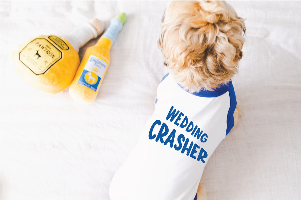 Wedding Crasher Engagement Announcement Dog Raglan Shirt in Blue and White