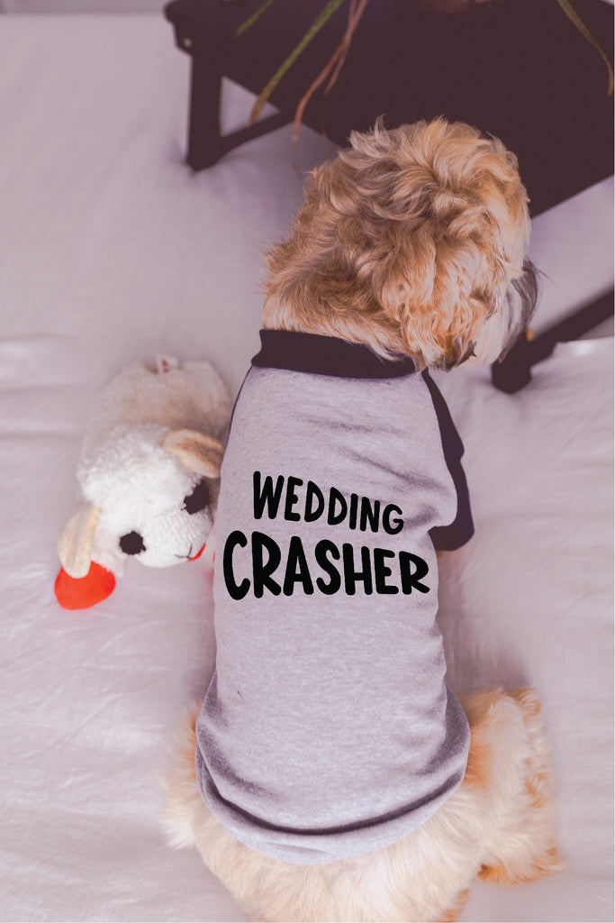 Wedding Crasher Engagement Announcement Dog Raglan Shirt in Grey and Navy