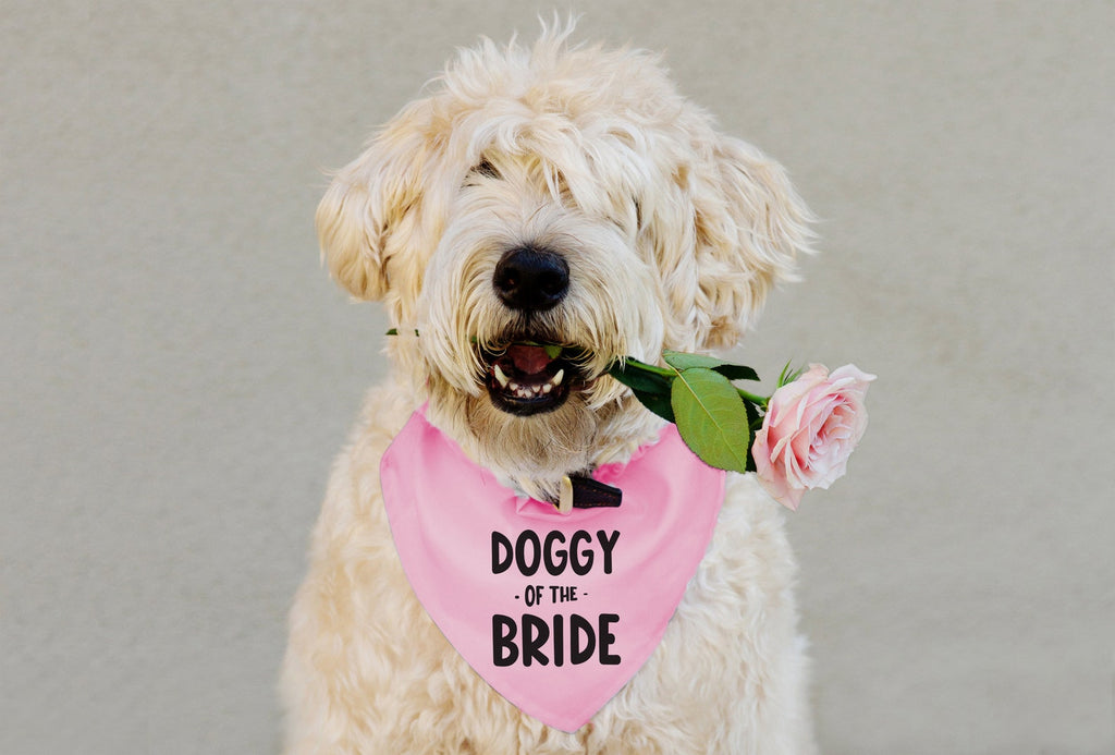 Doggy of the Bride Engagement Announcement Bandana in Pink