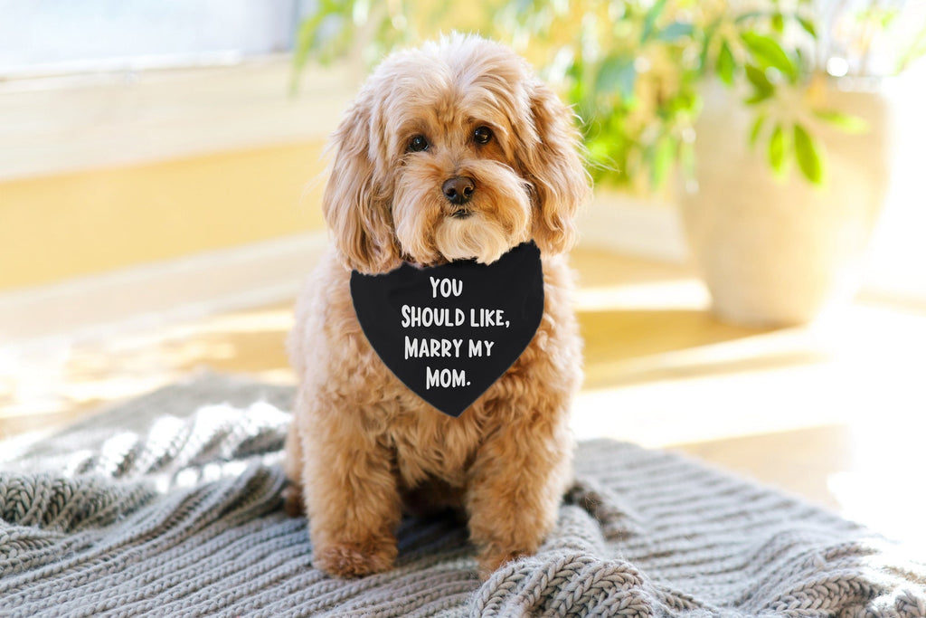 You Should Like, Marry My Mom or Dad Wedding Engagement Proposal Bandana in Black