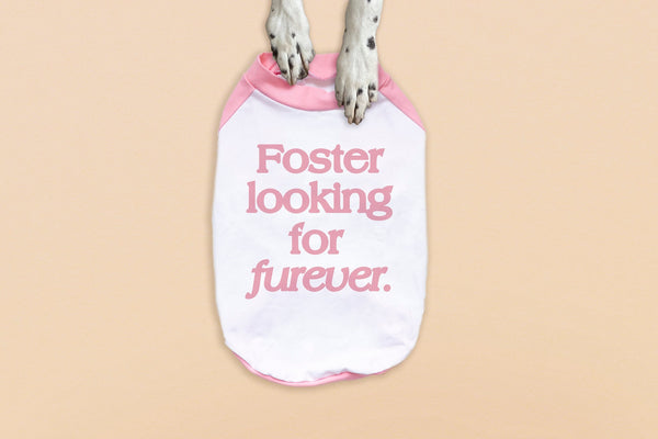 Foster Looking For Furever Dog Raglan T-Shirt in Pink and White