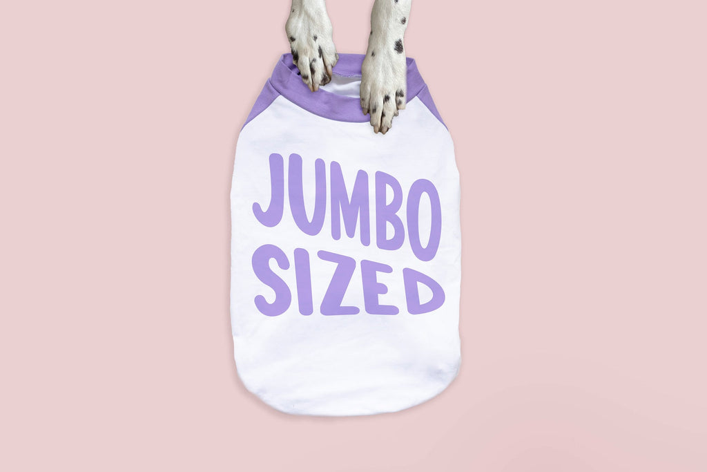 Jumbo Sized Big Dog Raglan T-Shirt