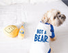 Custom Not a Bear Dog Raglan T-Shirt in Blue and White
