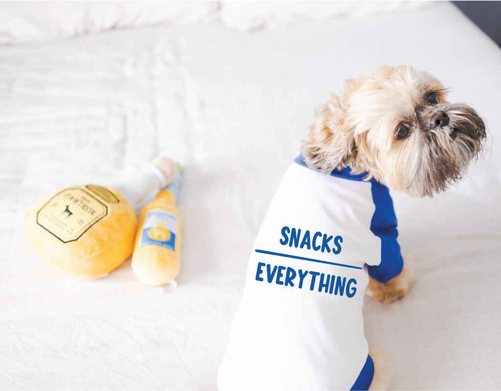 Custom Snacks Over Everything Dog Raglan T-Shirt in Blue and White