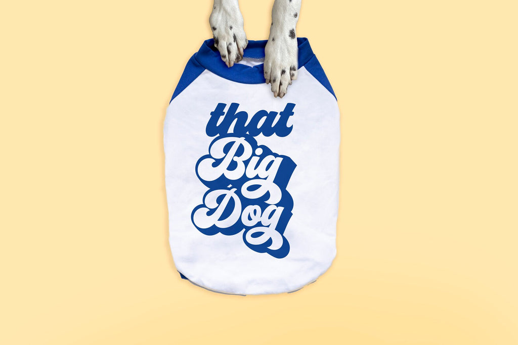 Custom That Big Dog Raglan T-Shirt in Blue and White