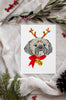 Shih Tzu Single Card or Notecard Set Christmas Dog Notecards