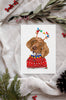 German Shorthaired Pointer GSP Single Card or Notecard Set Christmas Dog Notecards