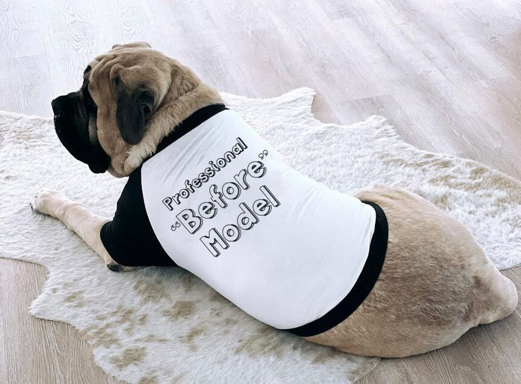 Custom "Professional Before Model" Dog Raglan T-Shirt | The Kevin Collection