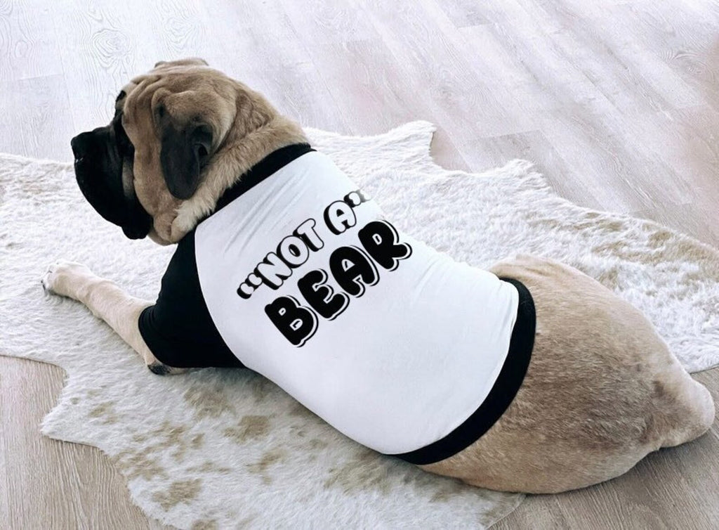 "Not A" Bear Funny Dog Raglan T-Shirt | The Kevin Collection