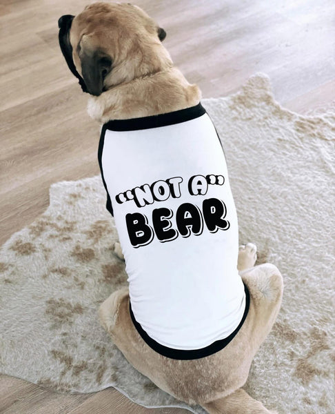 "Not A" Bear Funny Dog Raglan T-Shirt | The Kevin Collection