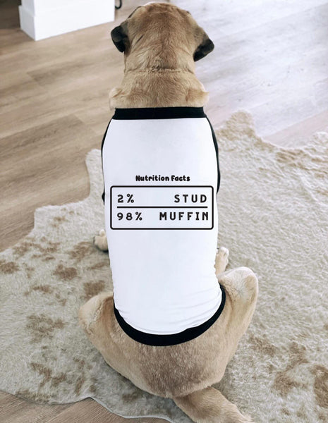 Custom 2% Stud, 98% Muffin Dog Raglan T-Shirt | The Kevin Collection