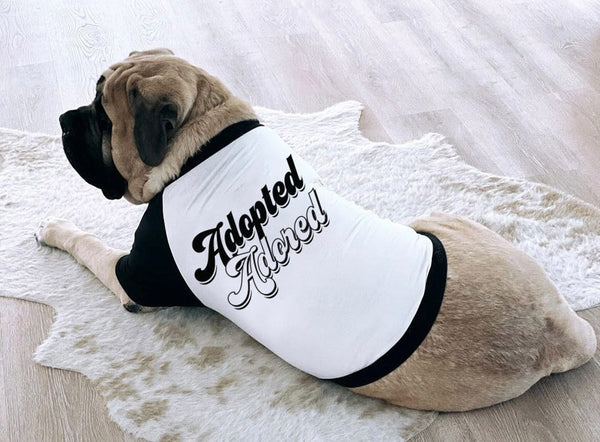 Adopted and Adored Dog Raglan T-Shirt | The Kevin Collection