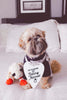 My Humans Are Getting Married Wedding Announcement Engagement Photo Shoot Sign - Modeled by a cute Shih Tzu named Oscar wearing a grey/navy Barkley & Wagz raglan t-shirt