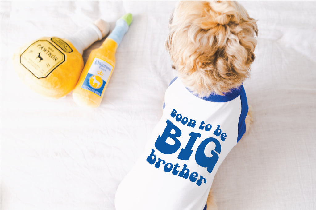 Soon To Be Big Sister Big Brother Retro Dog Raglan Sleeves Shirt in Blue and White