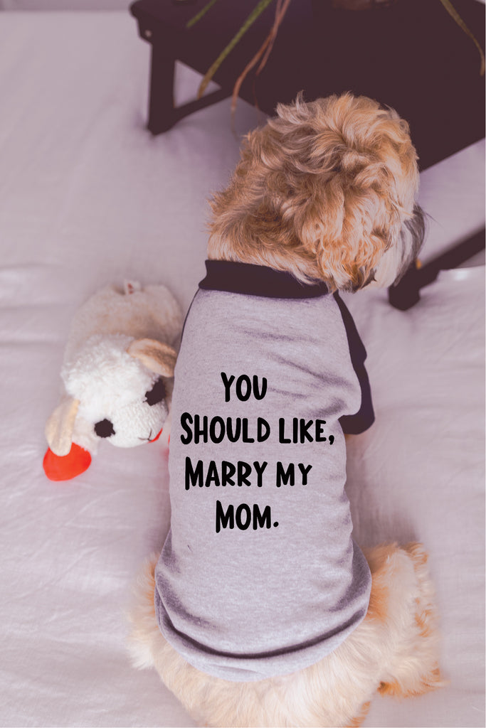 You Should Like, Marry My Mom or Dad Proposal Dog Raglan Shirt in Grey/Navy